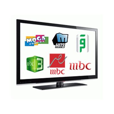     13 chaînes du pack arabo-musulman offertes sur les Freebox

