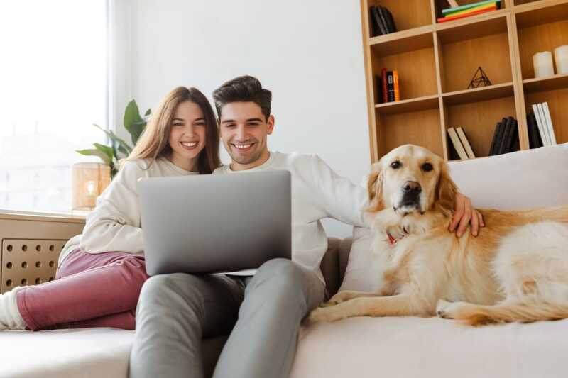 Cette offre internet est la moins chère de sa catégorie et elle grimpe jusqu'à 1 Gb/s en fibre