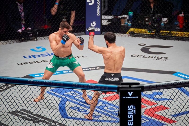 Combat de MMA depuis les tribunes