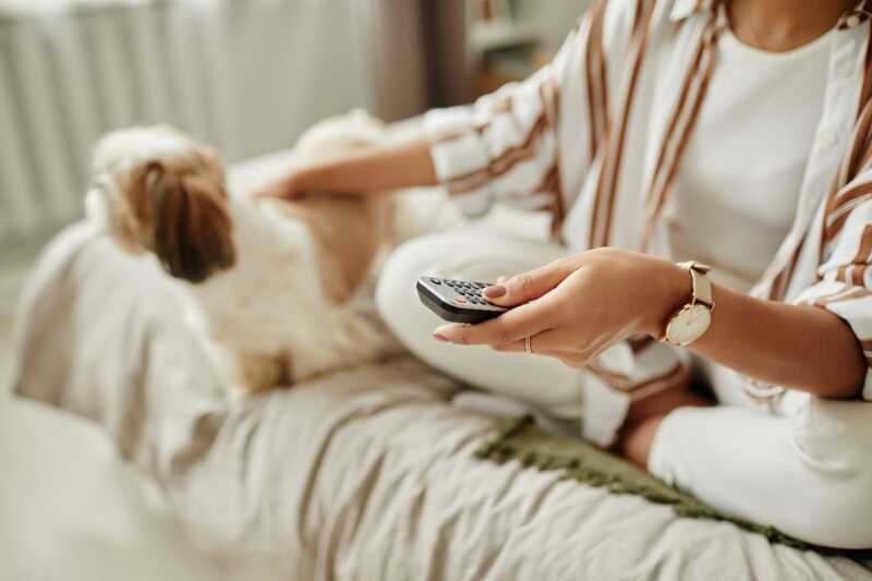 Dog & Cat TV débarque bientôt chez Free.