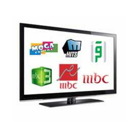     13 chaînes du pack arabo-musulman offertes sur les Freebox
