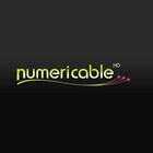     Numericable lance une offre sociale à 4 euros par mois
