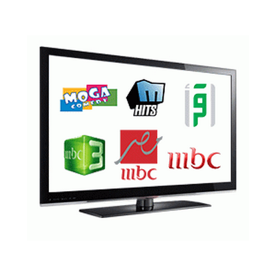     13 chaînes du pack arabo-musulman offertes sur les Freebox
