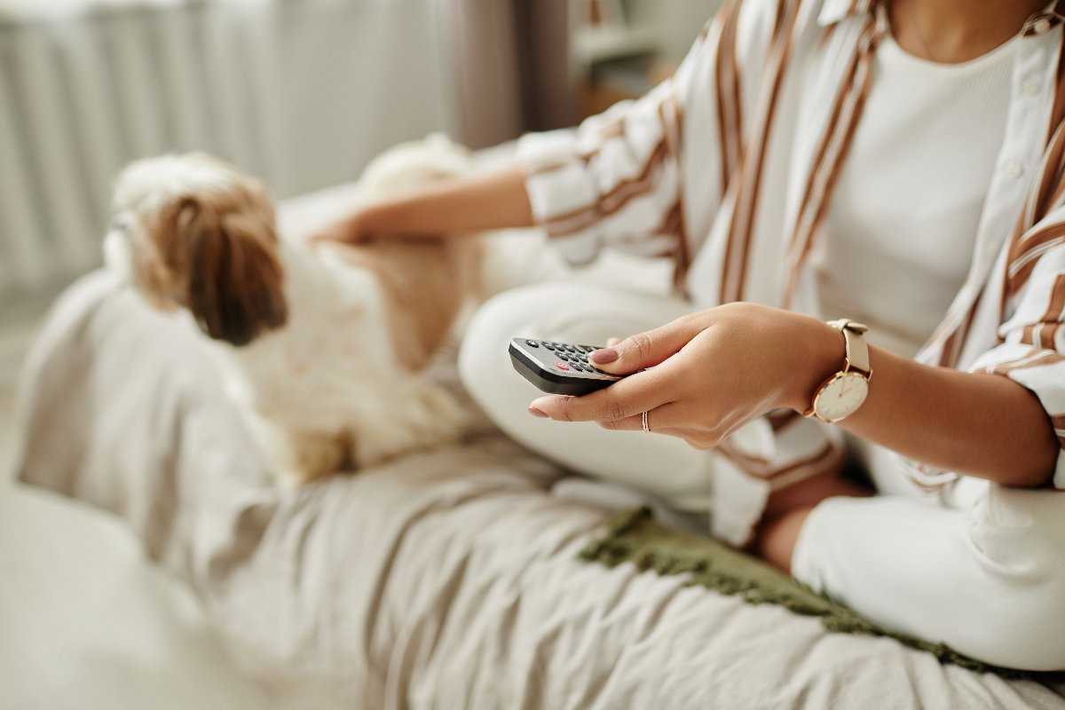     Après un carton aux États-Unis et en Asie, cette chaîne TV débarque bientôt sur les Freebox
