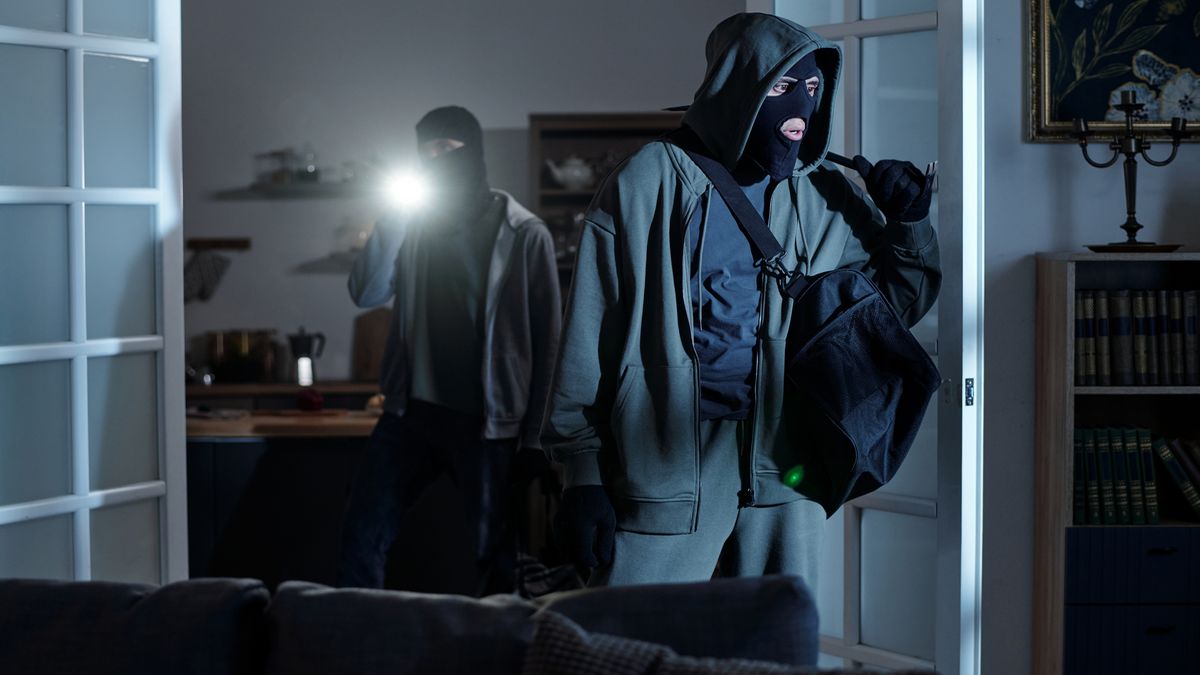     Une alarme réduit-elle vraiment les risques ? Voici ce que disent les chiffres
