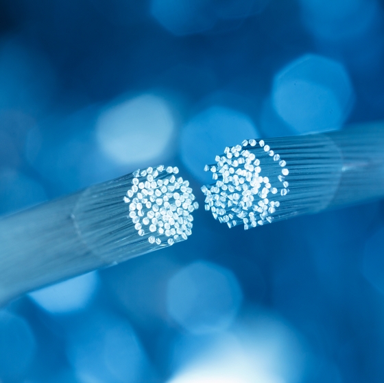     Coronavirus : le déploiement de la fibre coupé dans son élan
