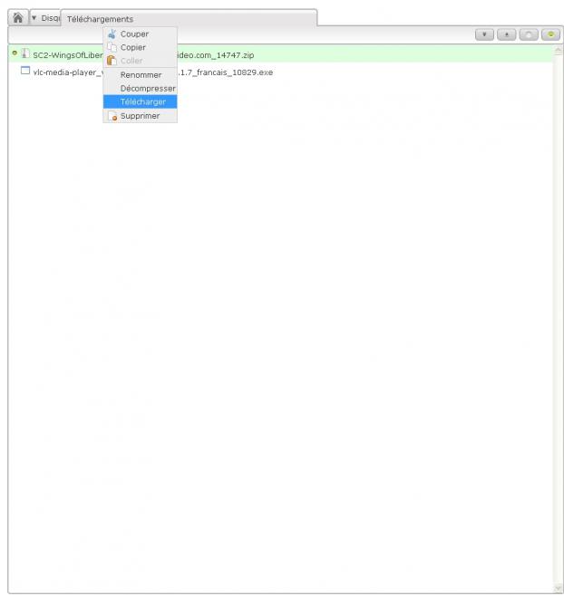 Explorateur : t&eacute;l&eacute;chargement de fichier