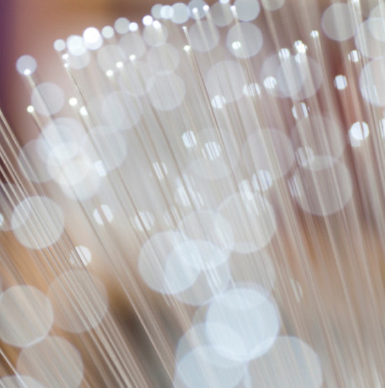     France THD : le gouvernement acte la 