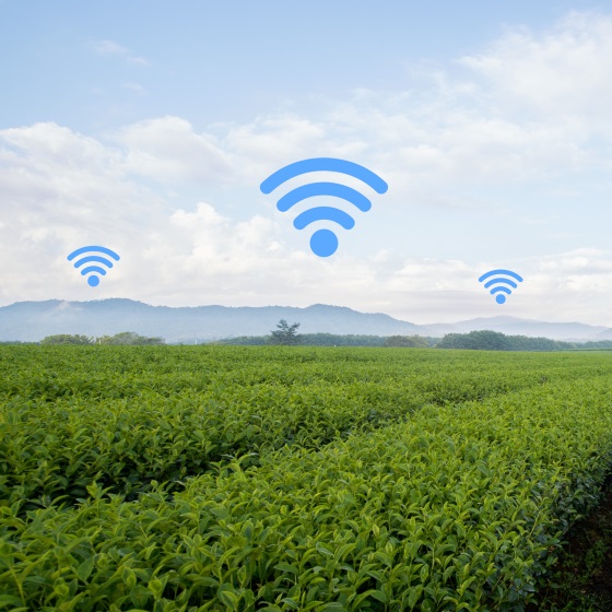     THD Radio : deux nouveaux départements demandent des fréquences
