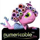     Numericable amène LaBox Fibre dans 400 communes de l'Ain
