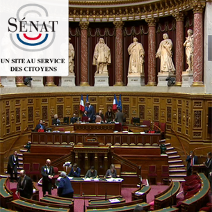     Proposition de loi Patrick Chaize adoptée en 1ère lecture au Sénat

