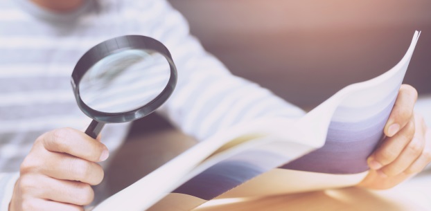     Fibre en zone AMII : les engagements à chat perché d'Orange et SFR
