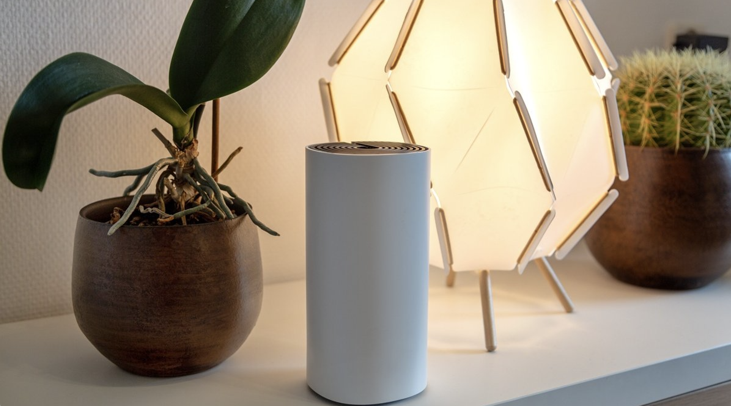     Cette box internet à moins de 25€ cache un avantage très pratique que tout le monde veut
