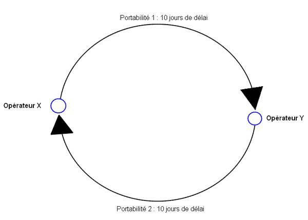 Sch&eacute;ma de la double portabilit&eacute;